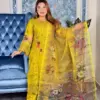 Pakistani Inspired Gorgeous Party 3-piece(Olive Green)